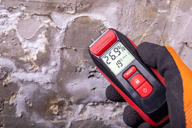 Best Commercial Mold Removal  in Jeannette, PA