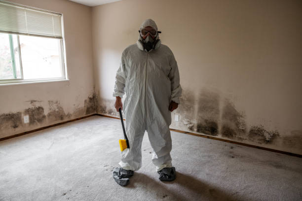 Best Certified Mold Removal  in Jeannette, PA